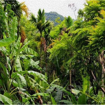 beibehang Ретро тропический лес большой широкий инструмент фон из кокосовой пальмы пользовательские большие фресковые шелковые обои