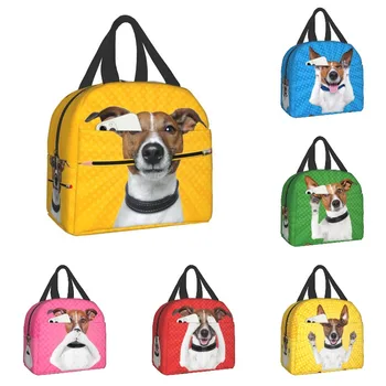 Сумка для ланча для собак Джек-Рассел-терьер, Термоохладитель, Изолированный Ланч-бокс для женщин, детей, школы, кемпинга, путешествий, пикника, сумки для хранения